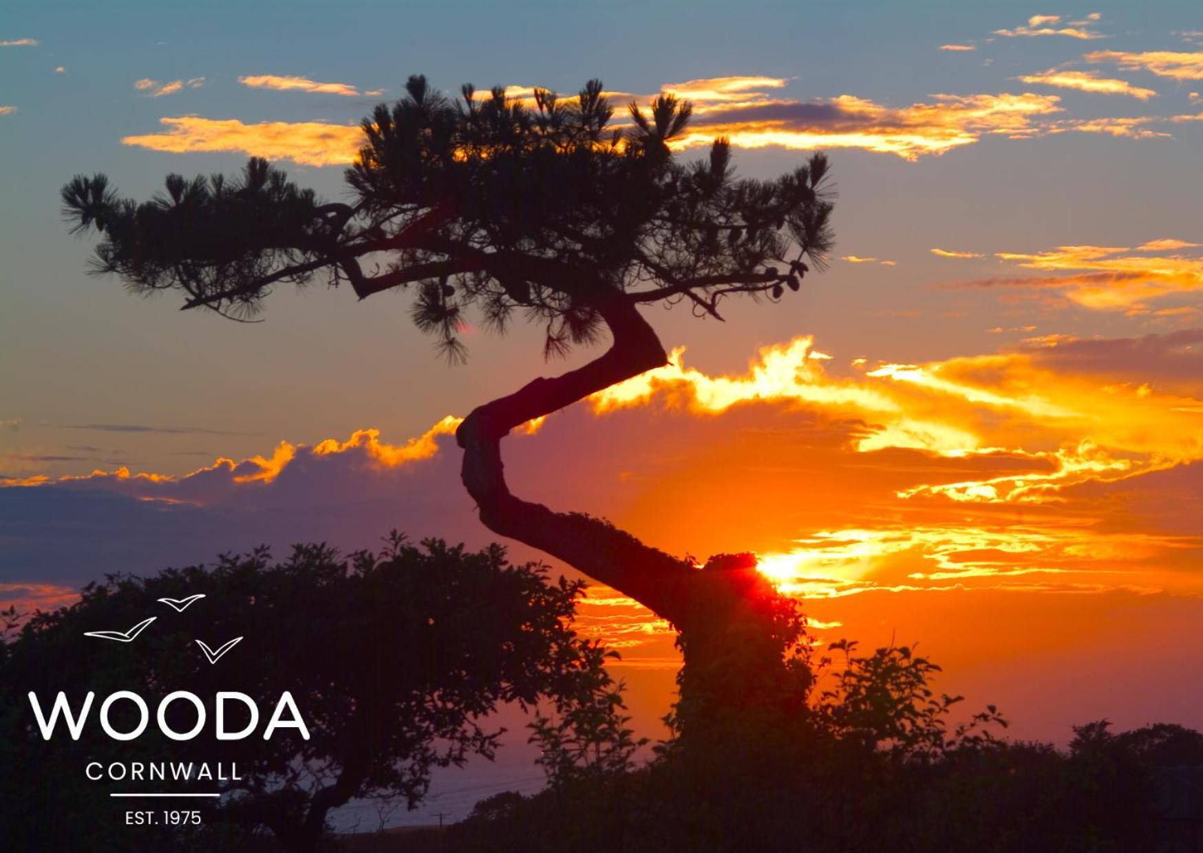 Wooda Farm Holidays Б'юд Екстер'єр фото
